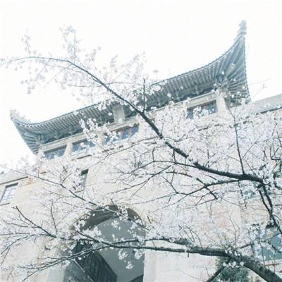 北京印刷学院“艺术+科技”服务首都文化建设
